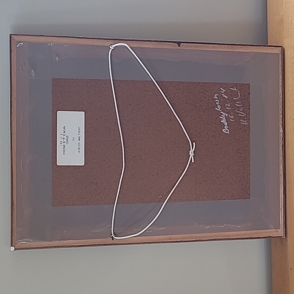 VINTAGE FRAMED PHOTOGRAPHY ART 'Hokitika Gorge' by Ulrich Walthert 1984 - Picture 8 of 12